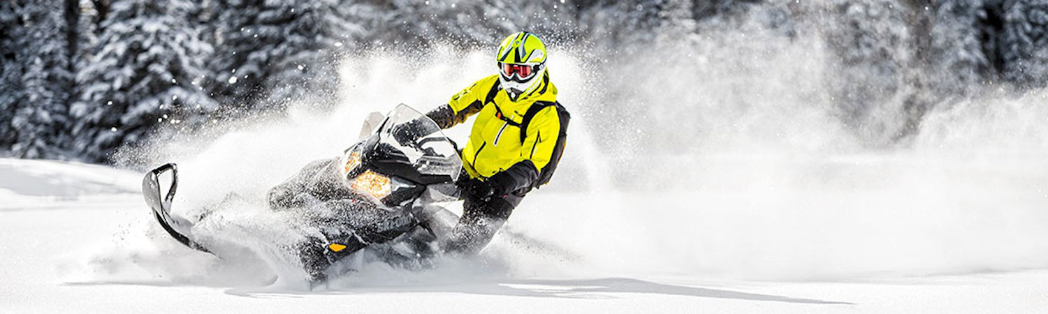 2020 Kawasaki Brute Force® 300 for sale in Ray C's Extreme, Lapeer, Michigan