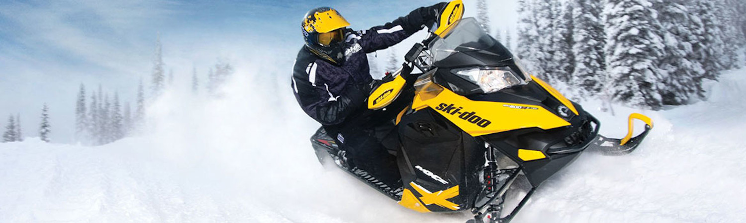 2020 Kawasaki Brute Force® 300 for sale in Ray C's Extreme, Lapeer, Michigan